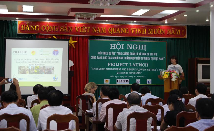Quang[-]cảnh[-]Lễ[-]ra[-]mắt[-]dự[-]án[-]thu[-]hái[-]và[-]kinh[-]doanh[-]bền[-]vững[-]các[-]loài[-]cây[-]tự[-]nhiên